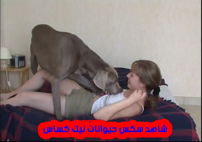 سكس كلاب ساخنة عاهرة هايجة تمارس الجنس مع الحيوانات - كسكوس - موقع افلام سكس
