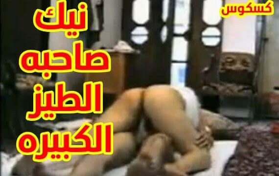 مقاطع ساخنه نيك الطيز الكبيره بوضعيات قوية سكس مصرى
